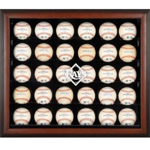 Tampa Bay Rays Logo Brown Framed 30-Ball Display Case